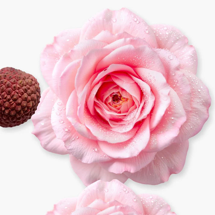 PARFUMS DE MARLY DELINA LA ROSEE EDP FOR WOMEN 75ML