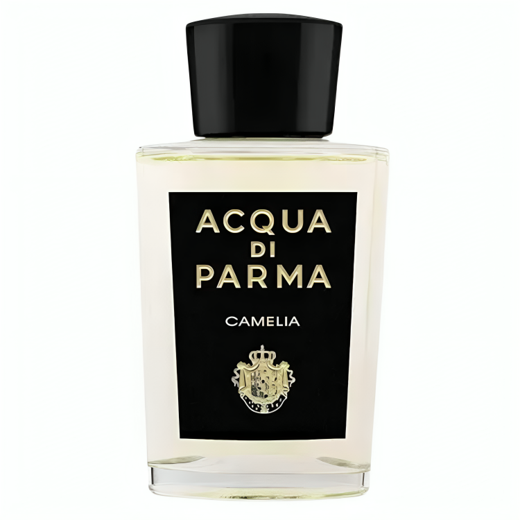 ACQUA DI PARMA CAMELIA 100ML