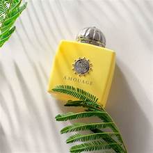 Amouage Love Mimosa for women